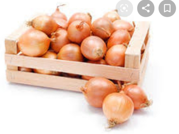 **Organic Onions